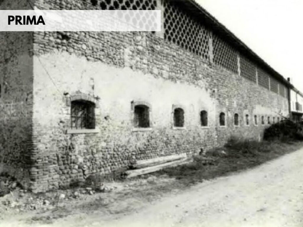 PRIMA (2)